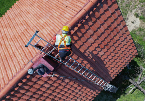 Best Roof Coating and Sealing  in Chalmette, LA